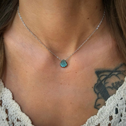 Shell Necklace